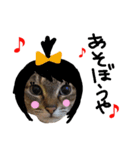 ねこむすめ(ФωФ)（個別スタンプ：16）