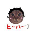 ねこむすめ(ФωФ)（個別スタンプ：17）