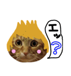 ねこむすめ(ФωФ)（個別スタンプ：19）
