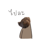 Chocolate is a funny dog.（個別スタンプ：13）