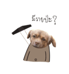 Chocolate is a funny dog.（個別スタンプ：20）