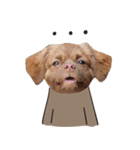 Chocolate is a funny dog.（個別スタンプ：23）