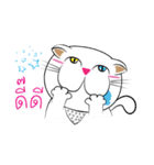 Kathi's My Cat（個別スタンプ：40）