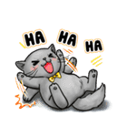 Nong Pong fat cat (Eng v.)（個別スタンプ：13）
