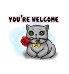Nong Pong fat cat (Eng v.)（個別スタンプ：14）
