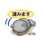 Nong Pong fat cat (Eng v.)（個別スタンプ：37）