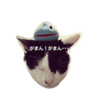 ねこだらけやん（個別スタンプ：4）