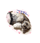 シーズーぴぃちちゃん②（個別スタンプ：17）