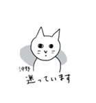 沖野さんスタンプ ー 白い猫（個別スタンプ：40）