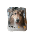アルファライフ（個別スタンプ：1）