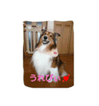 アルファライフ（個別スタンプ：14）