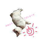 猫の親子（個別スタンプ：3）