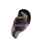 なまいきなねこ（個別スタンプ：1）
