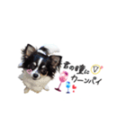 ワンちゃん好きのスタンプ（個別スタンプ：5）