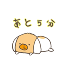 おもち犬（個別スタンプ：5）