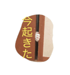 看板犬猫のプライベート（個別スタンプ：2）