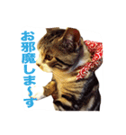 りんさんワールド（個別スタンプ：14）