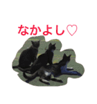 写真スタンプ1234（個別スタンプ：2）