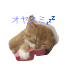 写真スタンプ1234（個別スタンプ：6）
