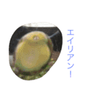 写真スタンプ1234（個別スタンプ：12）