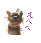 写真スタンプ1234（個別スタンプ：26）