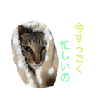 写真スタンプ1234（個別スタンプ：30）