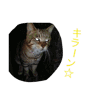 写真スタンプ1234（個別スタンプ：32）