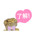 うちのレオパ（個別スタンプ：12）