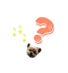 うたこま。（個別スタンプ：2）