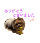 うたこま。（個別スタンプ：15）