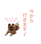 うたこま。（個別スタンプ：16）