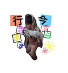 紗羅ちゃん（個別スタンプ：5）