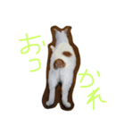 リールーさん#1（個別スタンプ：3）