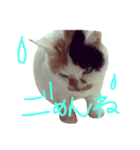 リールーさん#1（個別スタンプ：5）