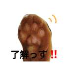 ★ねこむすめ★（個別スタンプ：3）