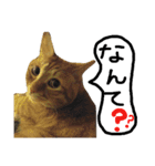 ★ねこむすめ★（個別スタンプ：13）