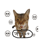 ★ねこむすめ★（個別スタンプ：24）