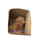 ねこの小梅先生（個別スタンプ：2）