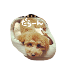 ちょびともっぷ（個別スタンプ：3）