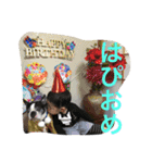 ちぇっちぇといおたん先生とてちゅ。（個別スタンプ：4）