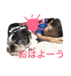 ちぇっちぇといおたん先生とてちゅ。（個別スタンプ：12）