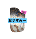 ちぇっちぇといおたん先生とてちゅ。（個別スタンプ：14）