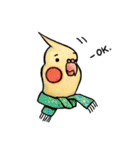 Cute cockatiel 's daily life（個別スタンプ：1）
