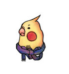 Cute cockatiel 's daily life（個別スタンプ：3）