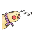 Cute cockatiel 's daily life（個別スタンプ：7）