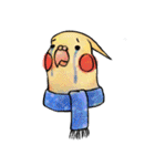 Cute cockatiel 's daily life（個別スタンプ：11）