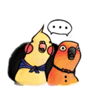 Cute cockatiel 's daily life（個別スタンプ：15）