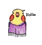 Cute cockatiel 's daily life（個別スタンプ：17）