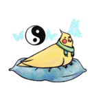 Cute cockatiel 's daily life（個別スタンプ：26）
