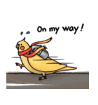 Cute cockatiel 's daily life（個別スタンプ：35）